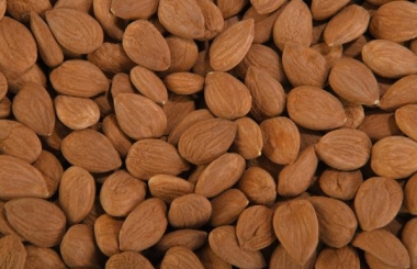 Natural bitter apricot kernels