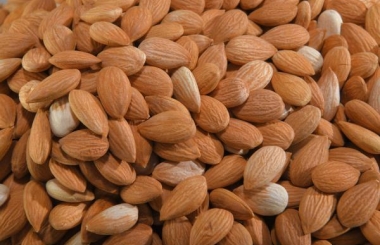 Sweet Apricot Kernel