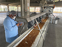 2014 Quality and Sustainability